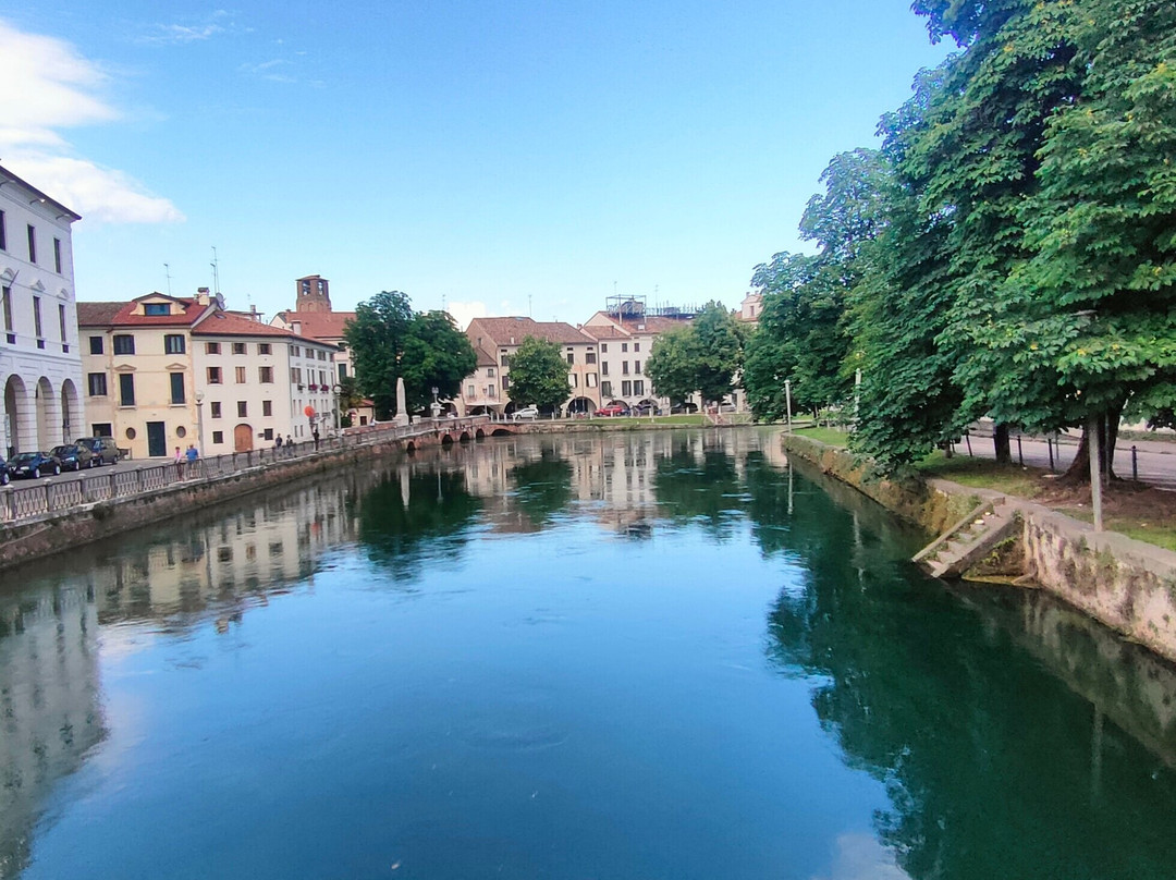 Ponte dell'Università-特雷维索必去景点