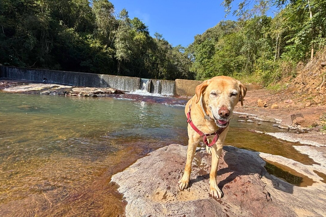 Cascata da Antiga Barragem do Rio 20
