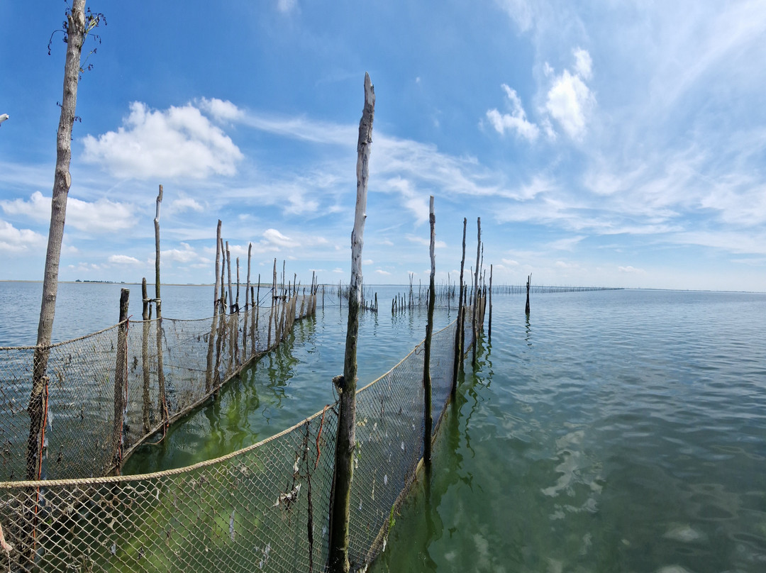 Strand Bergsediepsluis-Tholen必去景点