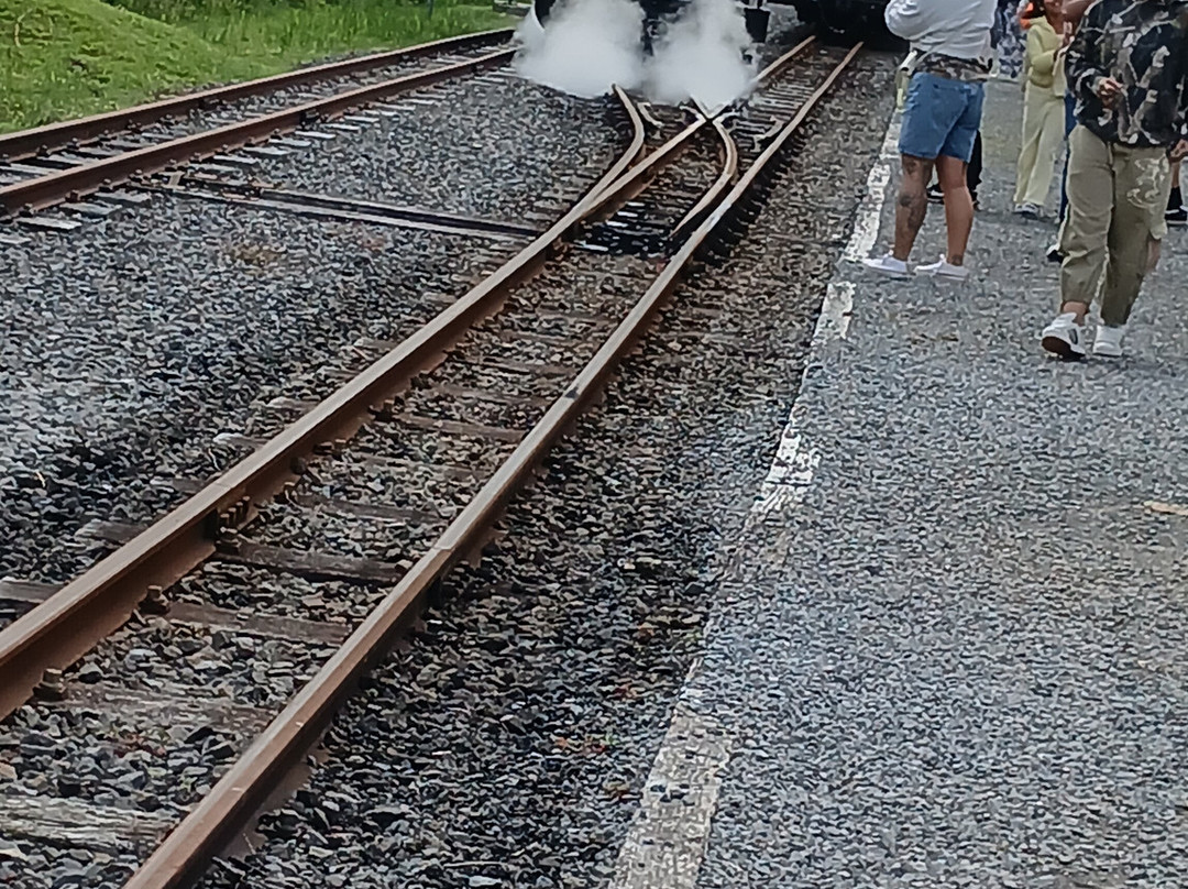 Brecon Mountain Railway-梅瑟蒂德菲尔必去景点