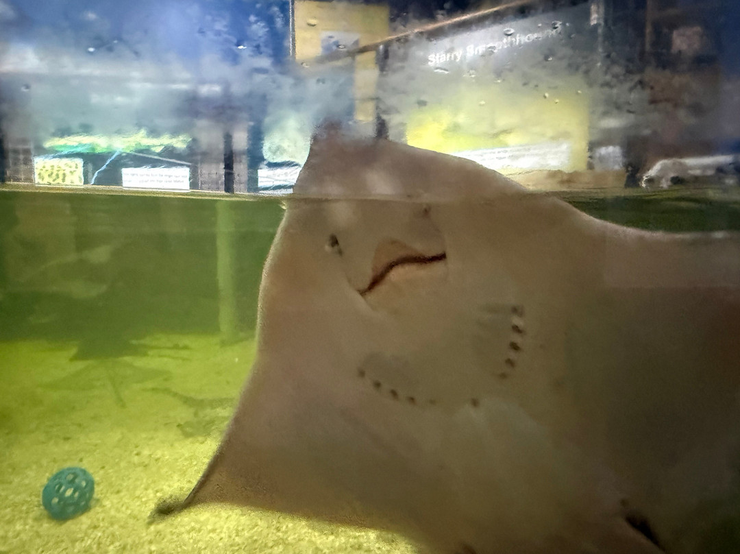 Lake District Coast Aquarium-Maryport必去景点