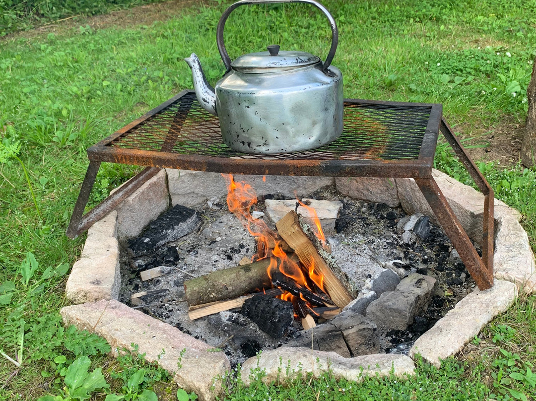 Glamping At Wallops Wood主图
