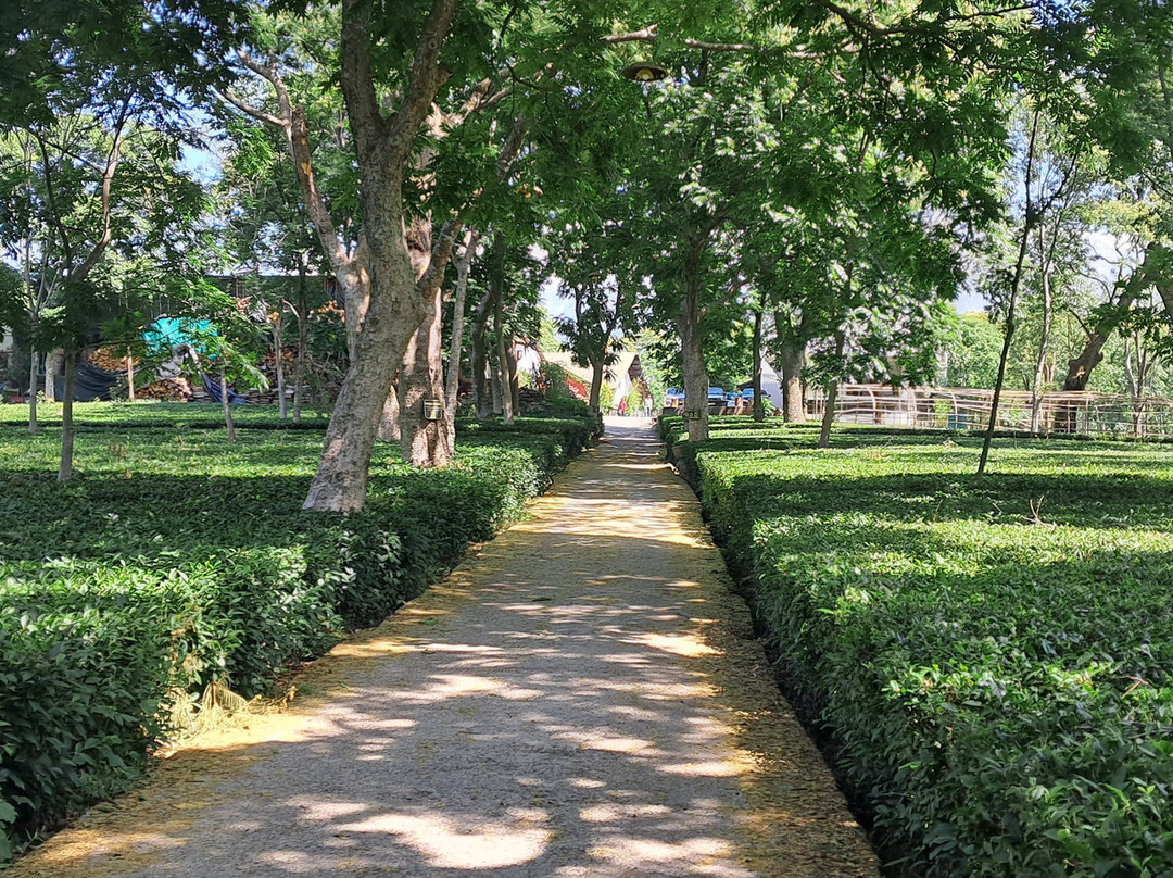The Lodge at Wah, Palampur主图