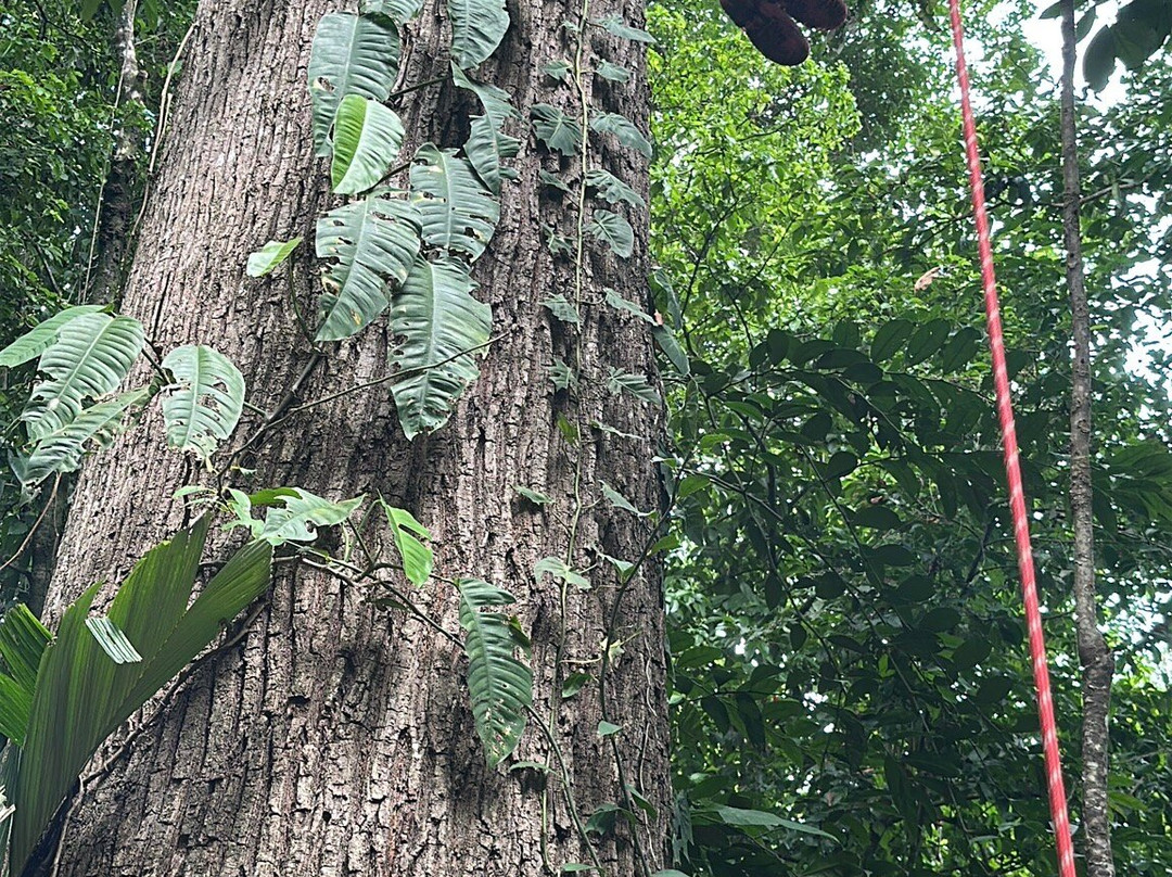 自然观测台-Manzanillo必去景点