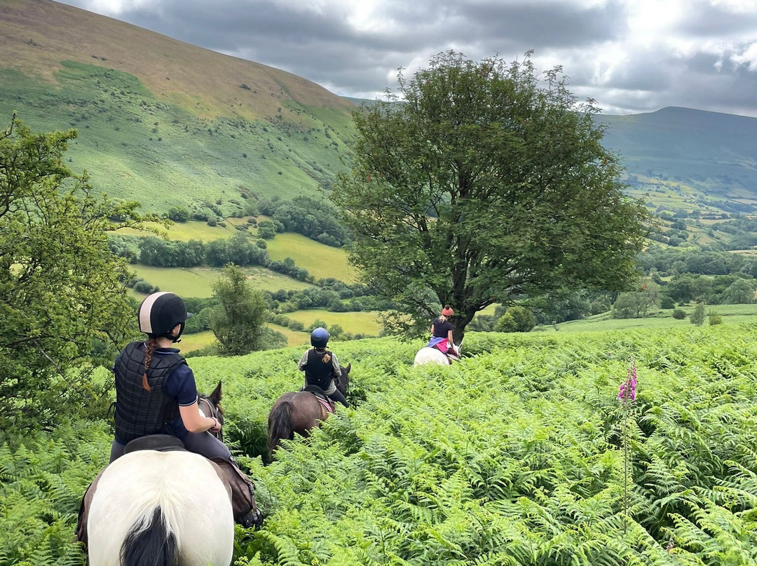 Ellesmere Riding Centre-布雷肯必去景点
