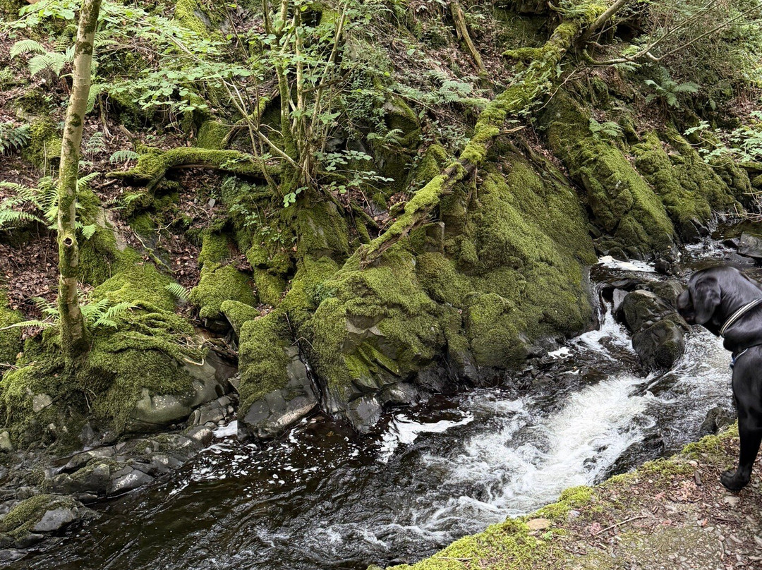 Ceunant Mawr Waterfall-Llanberis必去景点