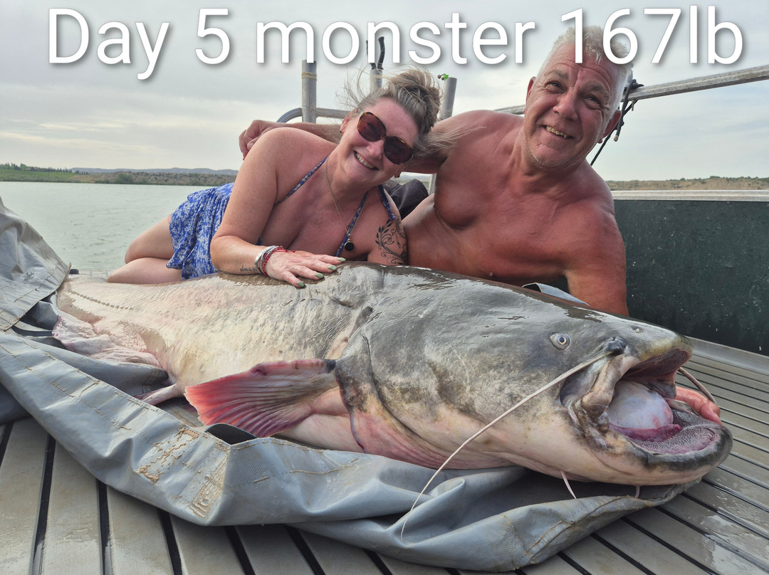 River Ebro Catfishing Holidays-Caspe必去景点