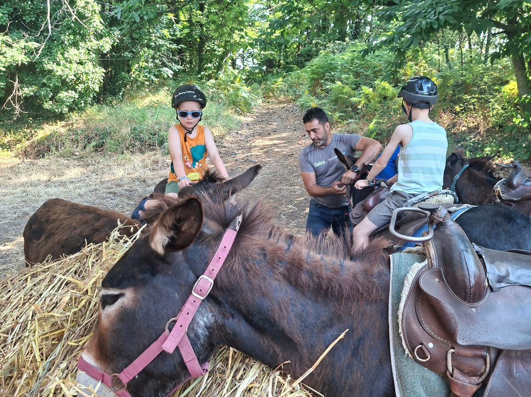 Etna Donkey Trekking-林瓜格洛萨必去景点