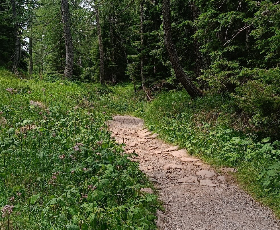 Laghi di Colbricon-Passo Rolle必去景点