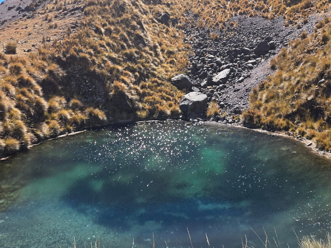 Alpaca Expeditions-库斯科必去景点