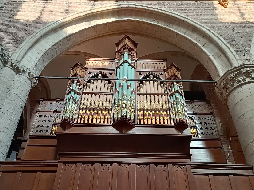 Pieterskerk Leiden-莱顿必去景点