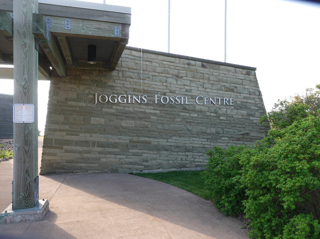 Joggins Fossil Cliffs And Centre-Joggins必去景点