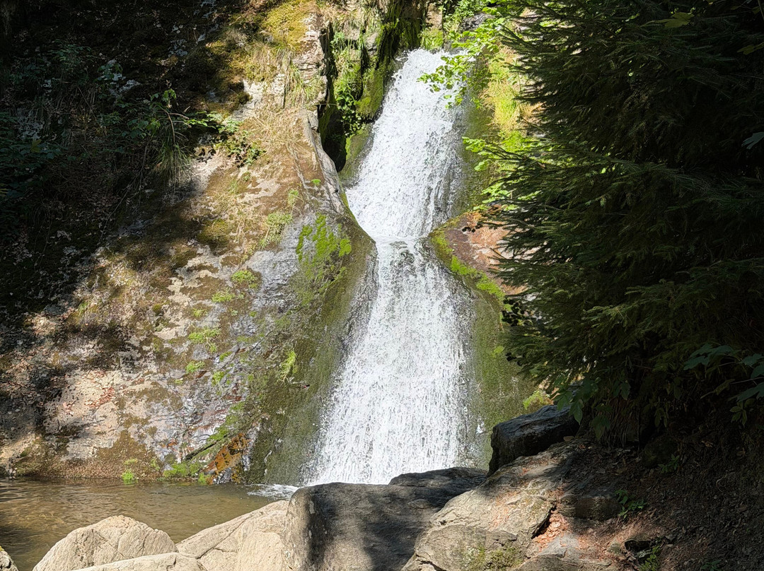 Rešov waterfalls-Rymarov必去景点