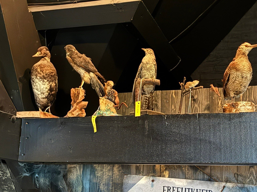 Natuurmuseum Fryslan-吕伐登必去景点