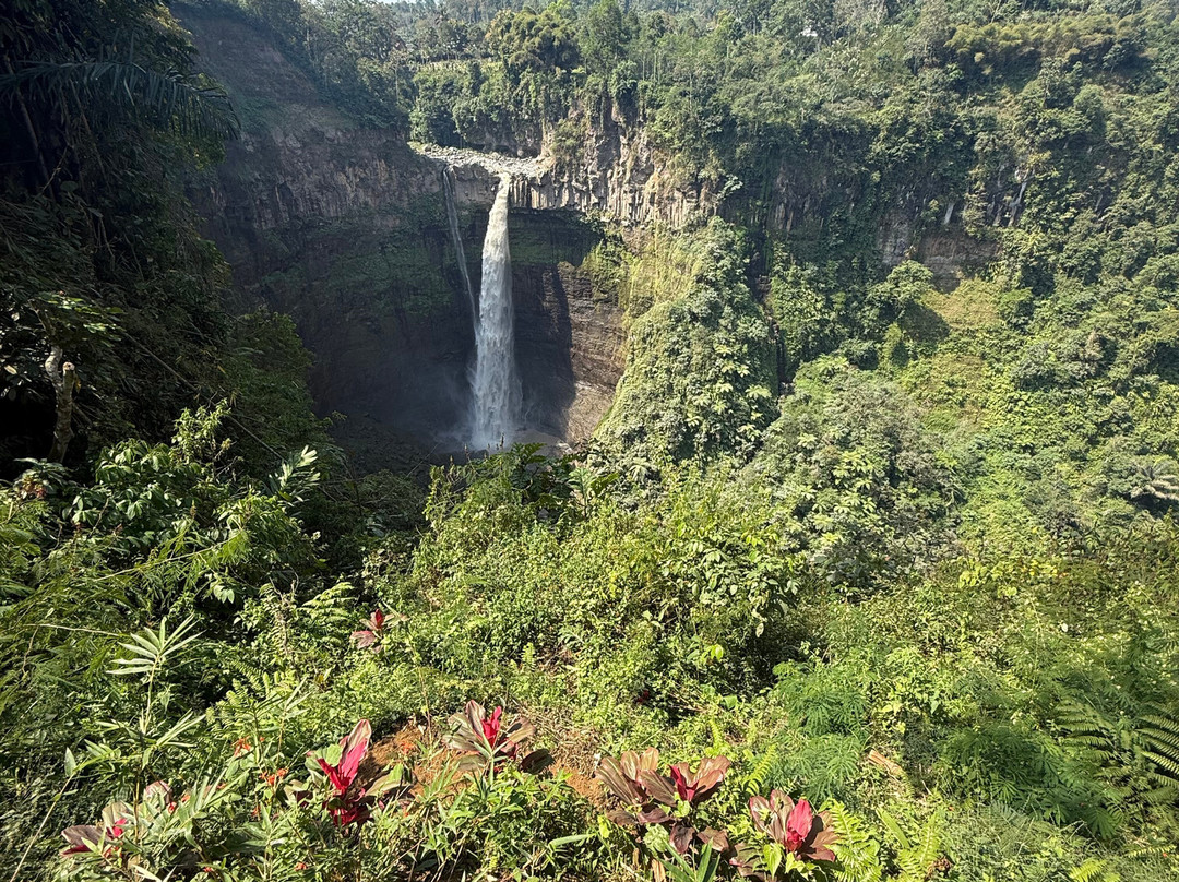 Bromoijen Tour Transport-西多尔佐必去景点