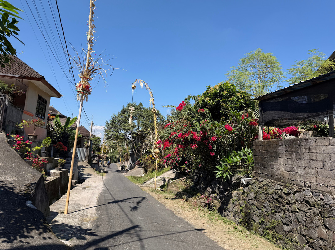 Jatiluwih Cycling & E-bike Tours With Bali By Pedals-Belalang必去景点