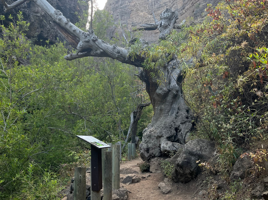 Barranco Del Infierno-奥德杰海岸必去景点