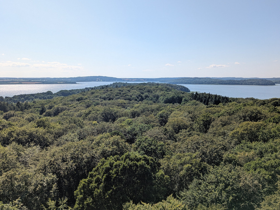 Baumwipfelpfad im Naturerbe Zentrum Rügen-奥茨巴德宾兹必去景点