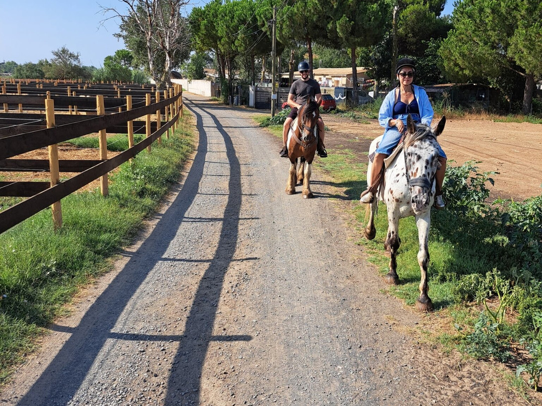 Ranch La Camargue-Marseillan Plage必去景点