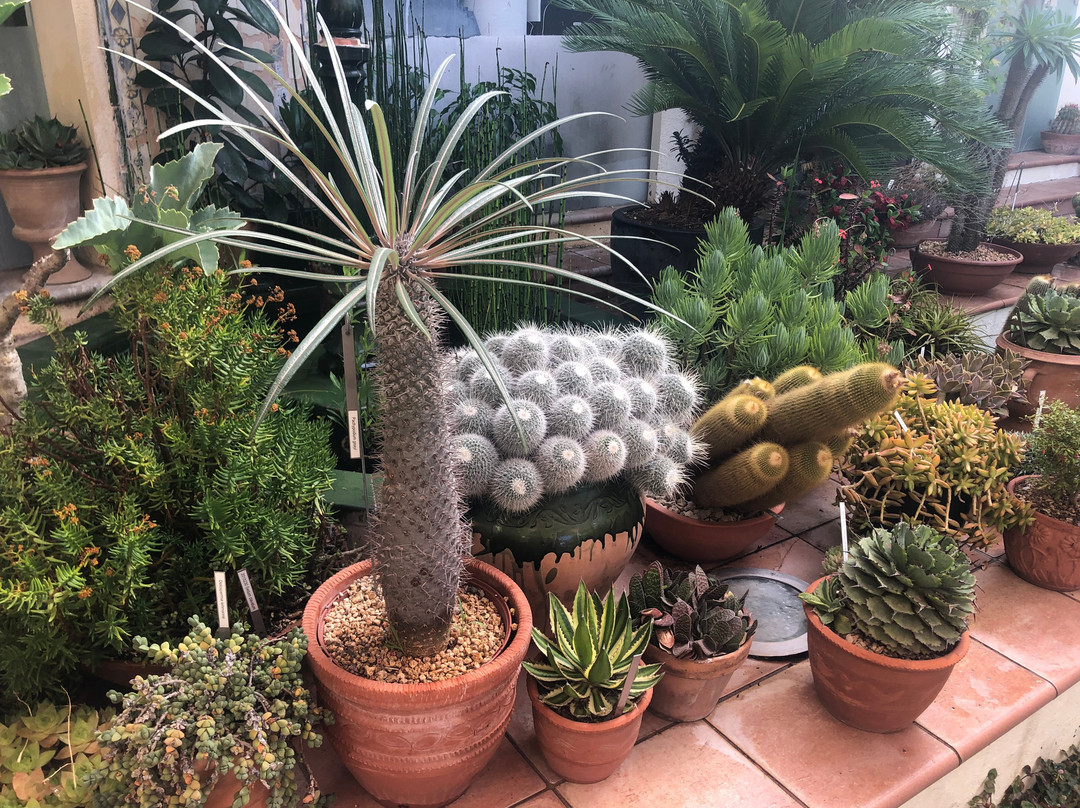 Jardí Botànic Marimurtra-布拉内斯必去景点