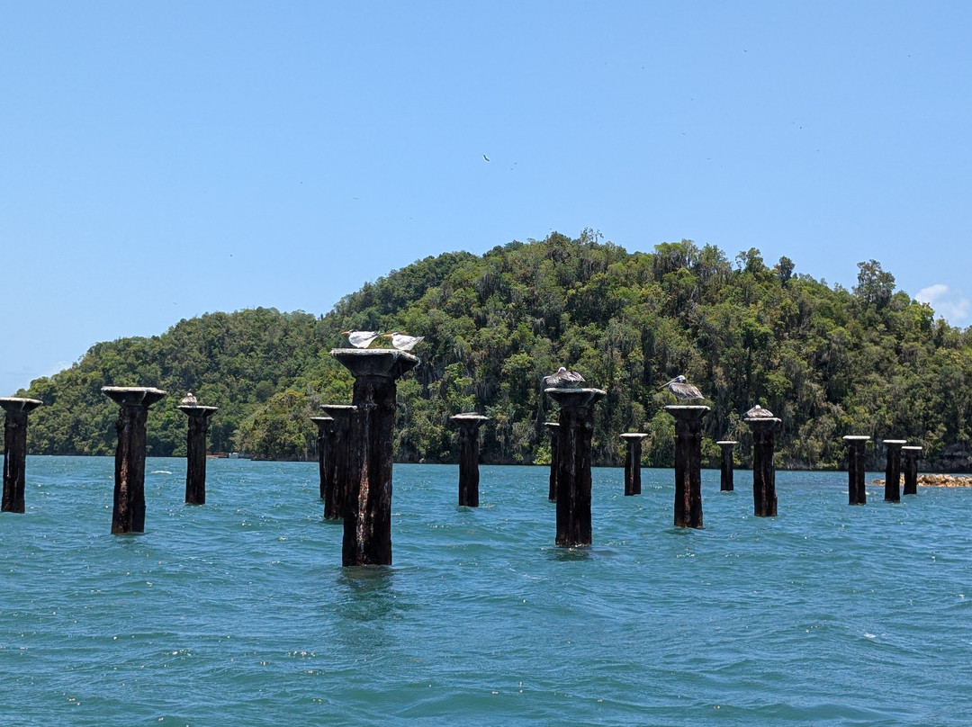 Booking Adventures-Sabana de la Mar必去景点