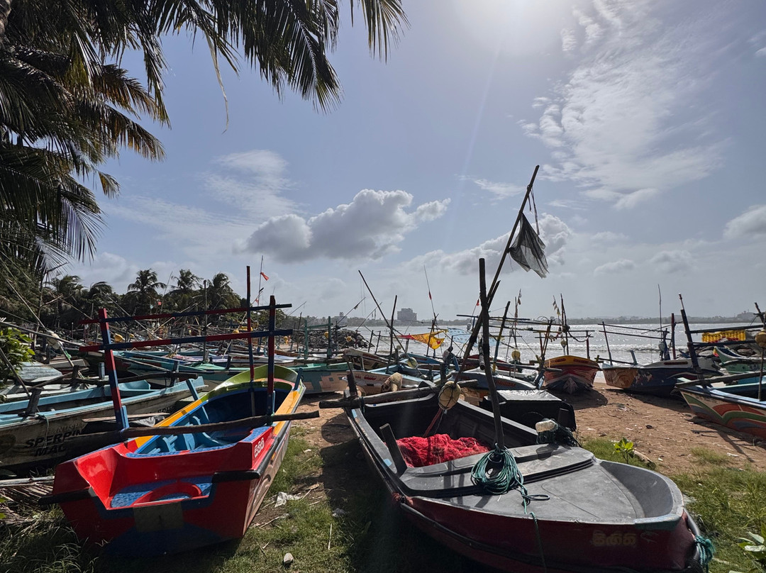 Ama  Lanka Tours-Minuwangoda必去景点