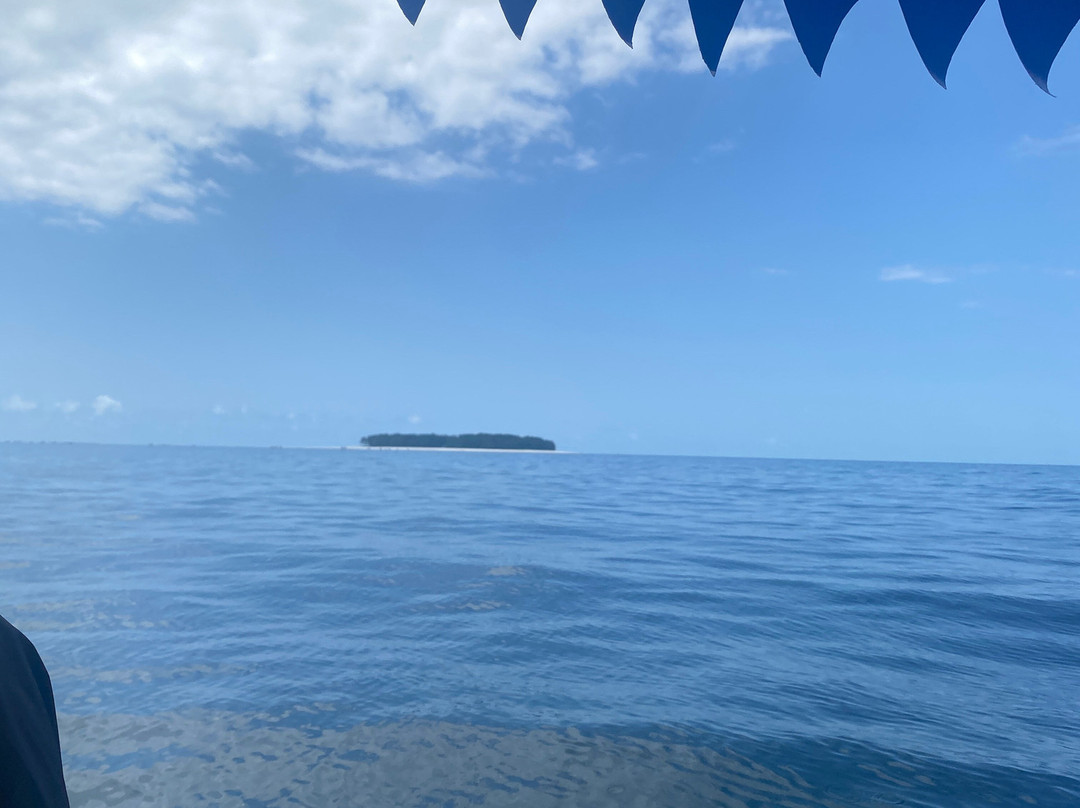 Suley Taxi Driver Zanzibar and Tours-孥归必去景点