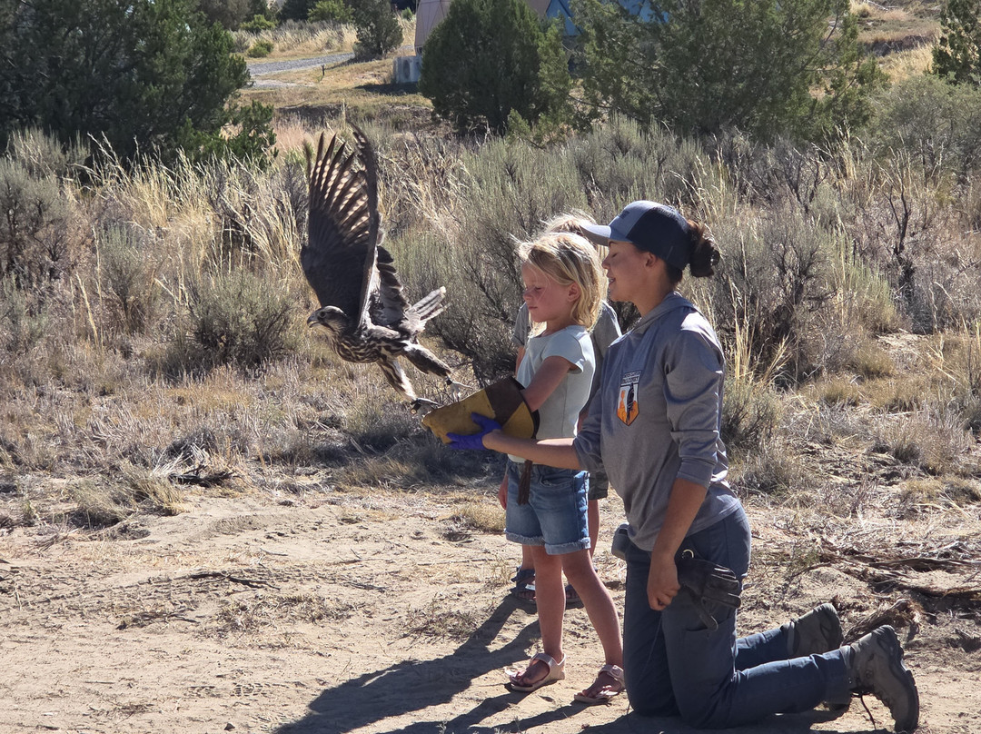 Bryce Canyon Falconry-Cannonville必去景点