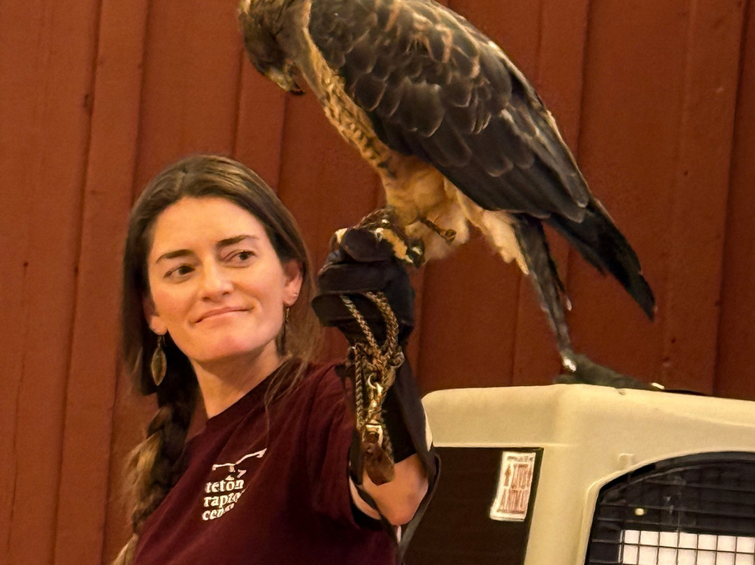 Teton Raptor Center-威尔逊必去景点