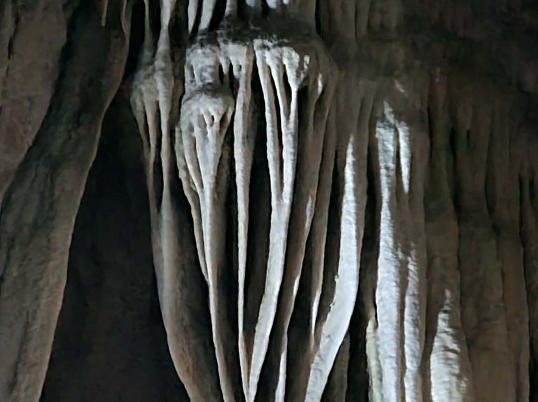 Coral Cave-拷索国家公园必去景点