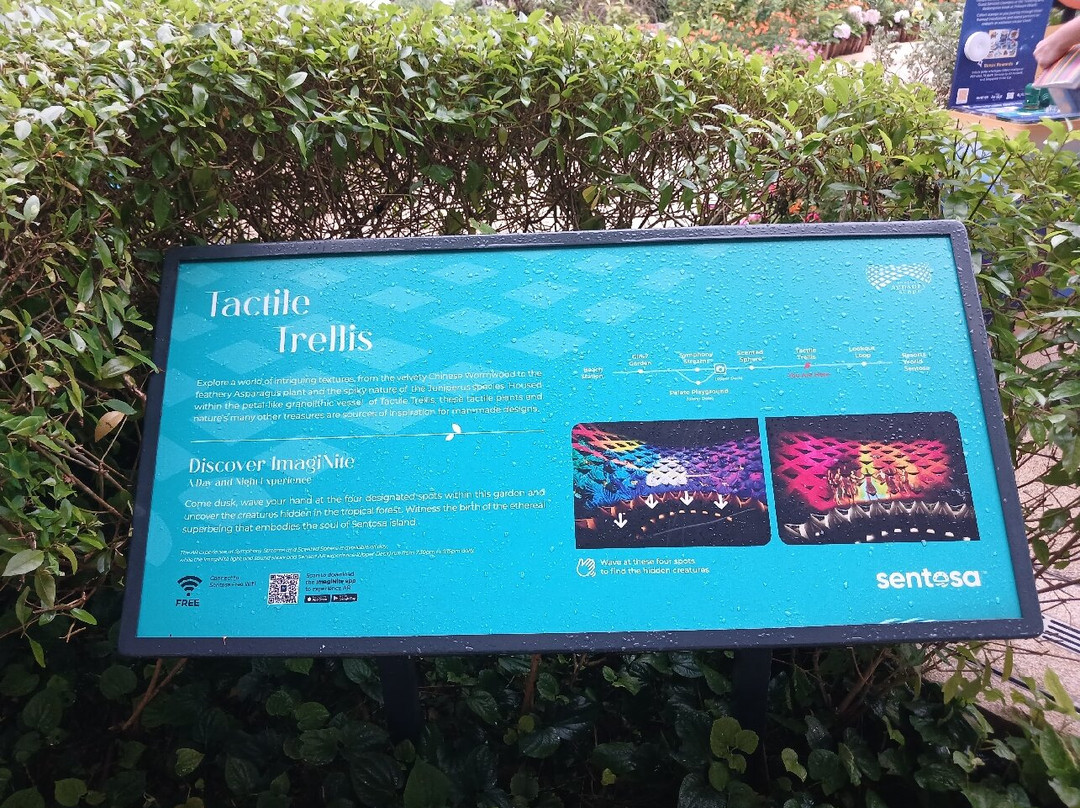 Sentosa SensoryScape-新加坡必去景点
