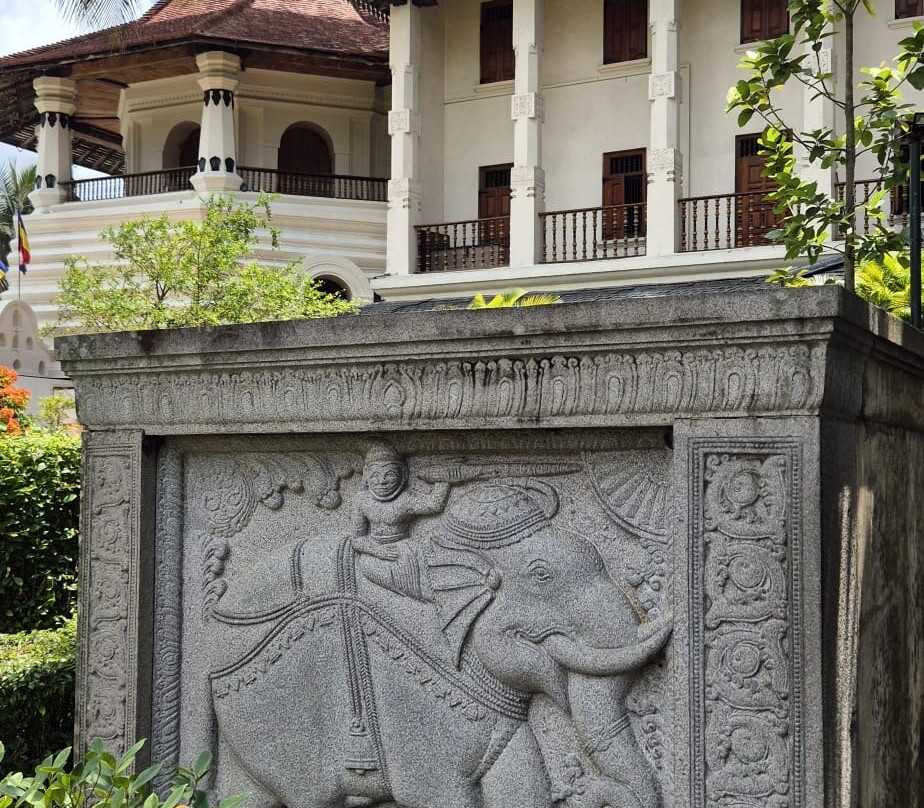 Amazing Travels & Tours Sri Lanka-科奇克德必去景点