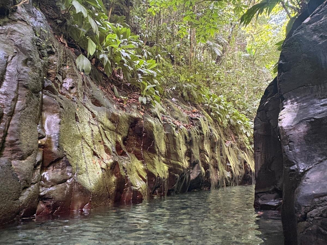 Canyon Moustique-Petit-Bourg必去景点