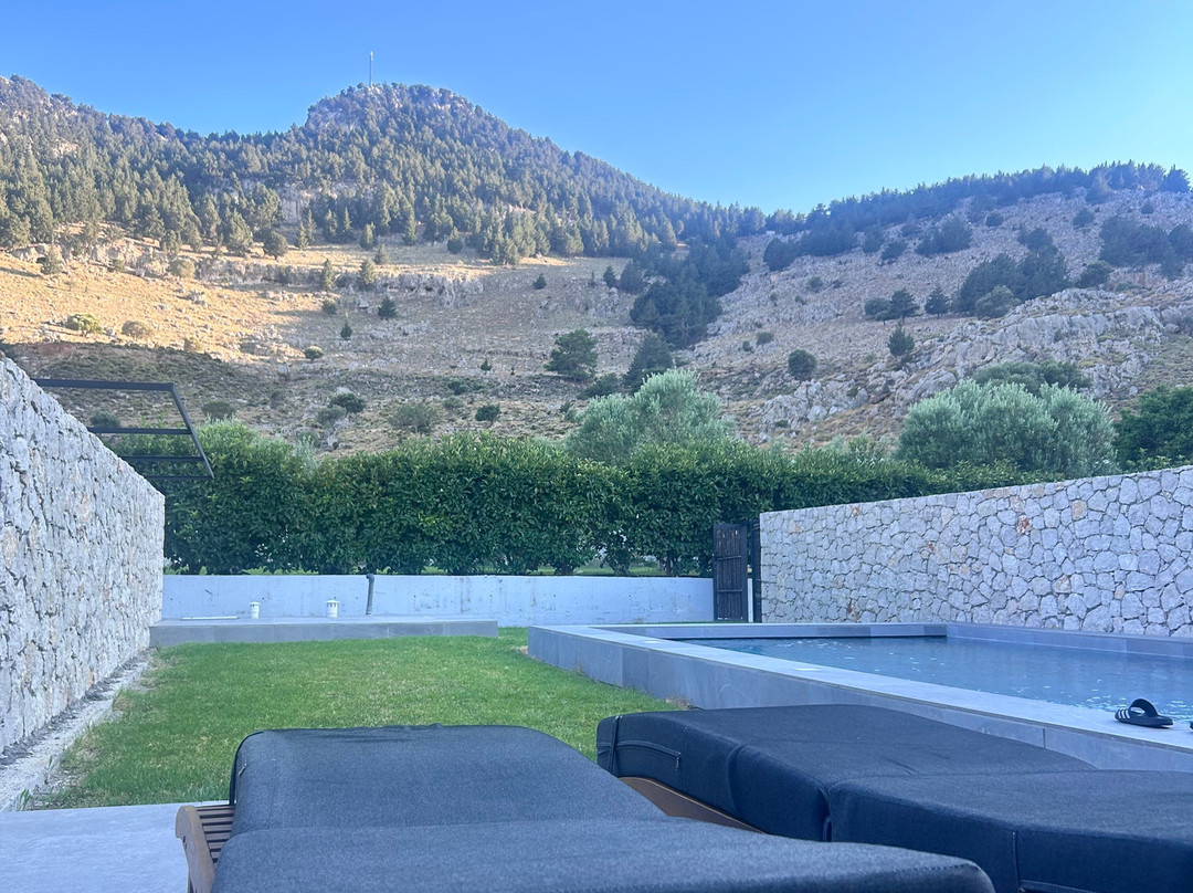 罗得岛库克酒店-限成人主图