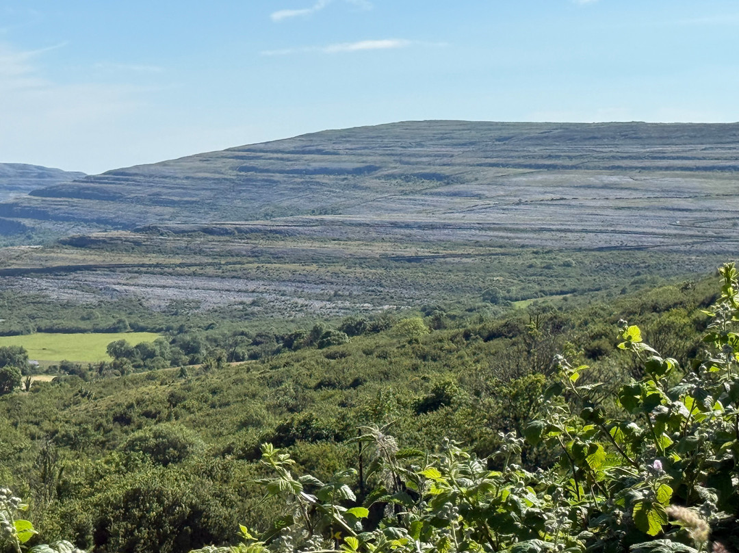 The Burren-克莱尔郡必去景点