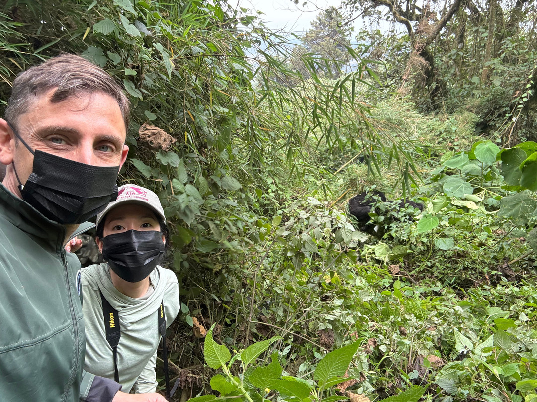 Volcanoes National Park Rwanda-Musanze District必去景点