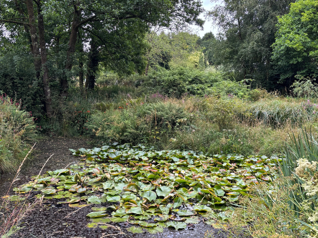 Cae Hir Gardens-Cribyn必去景点