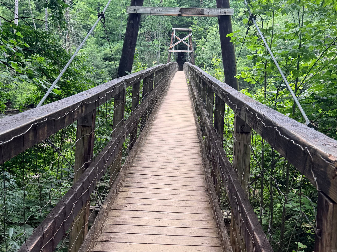 Swinging Bridge on the Toccoa River-蓝岭必去景点