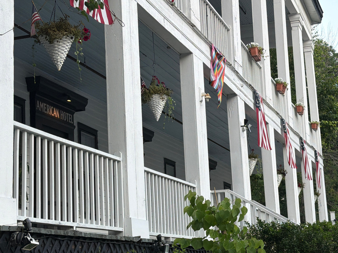 The American Hotel主图