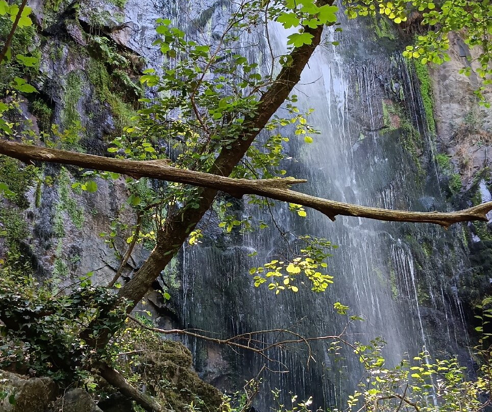 Cascada De Auga Caida-Panton必去景点