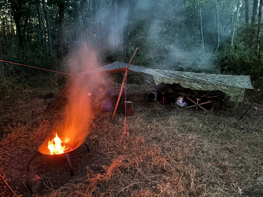 Wild Bushcraft Company-Corwen必去景点