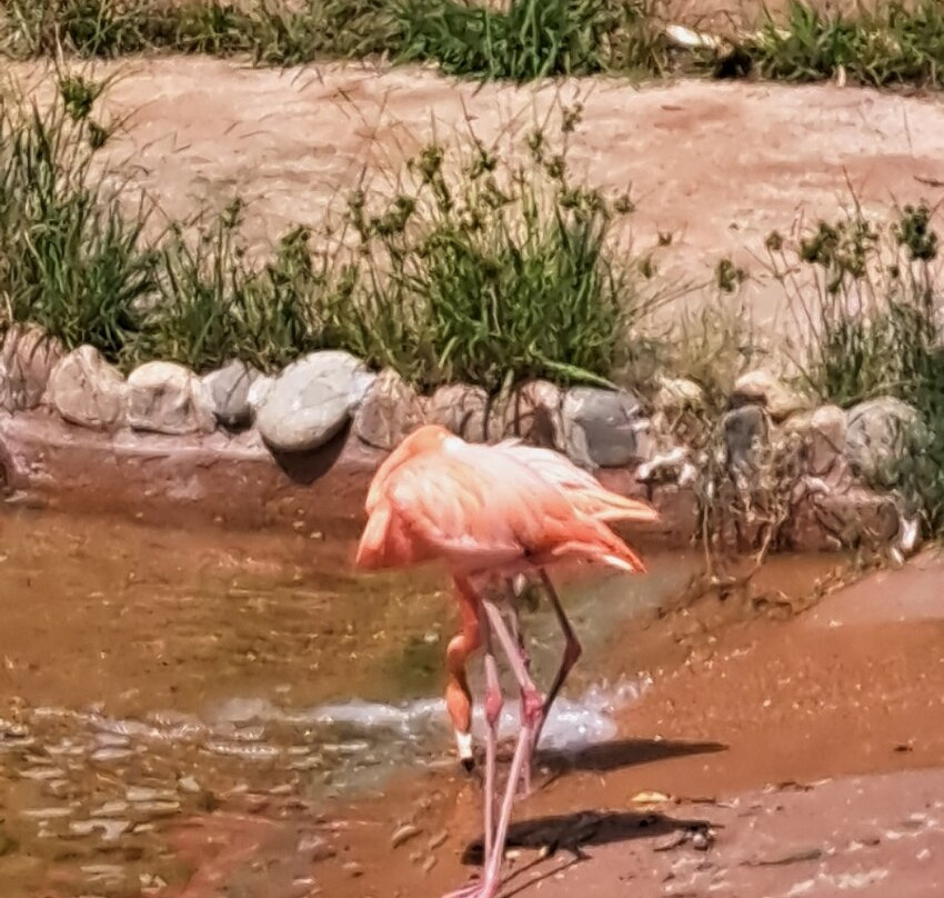 Marineland Catalunya-Palafolls必去景点