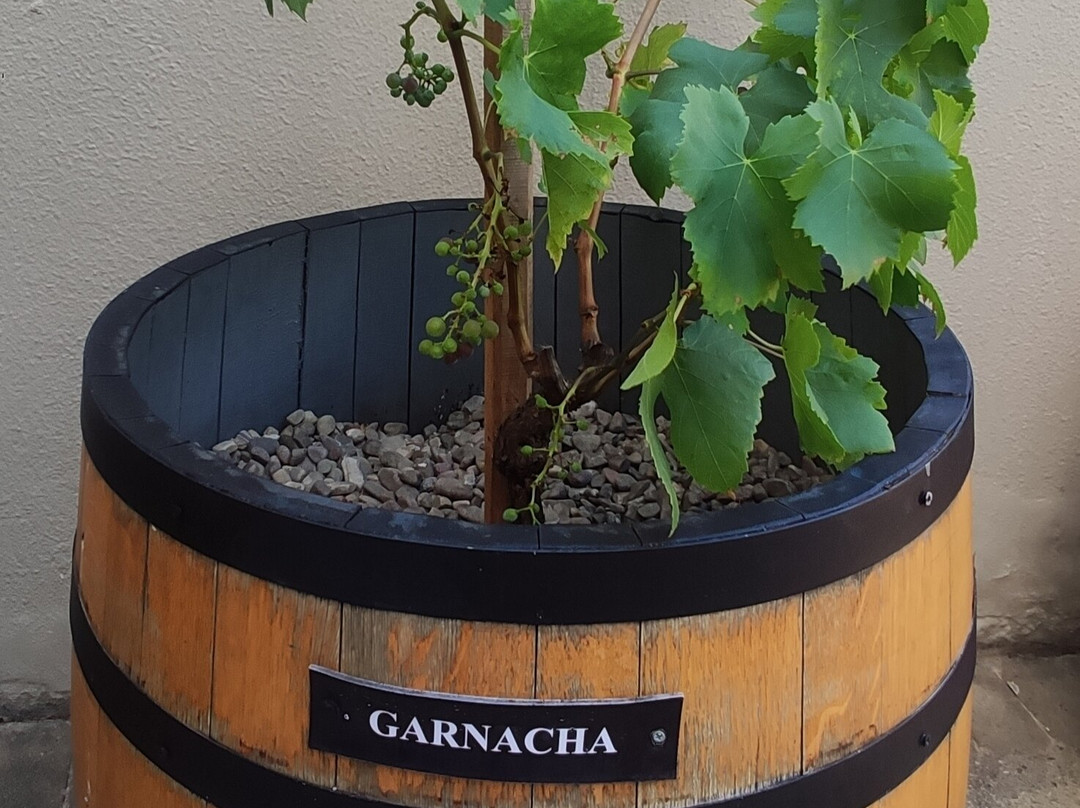 Bodega La Rioja Alta S.A.-哈罗必去景点