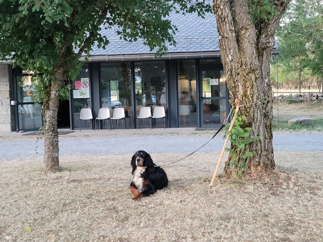 Camping Municipal de Nasbinals