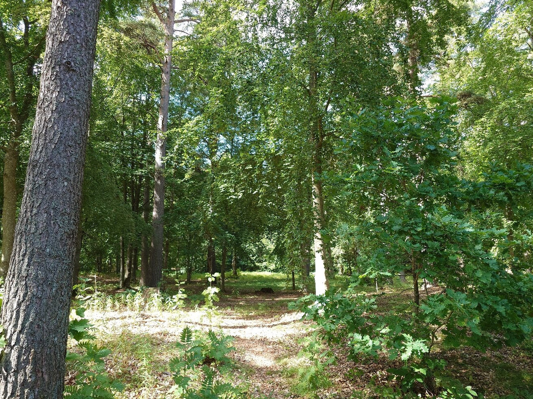Villa Giacomina Parken-Lidkoping必去景点