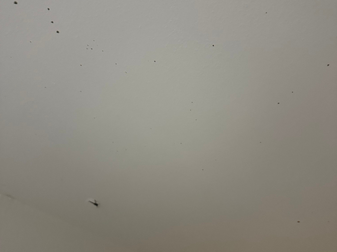 土斯卡鲁沙华美达酒店主图