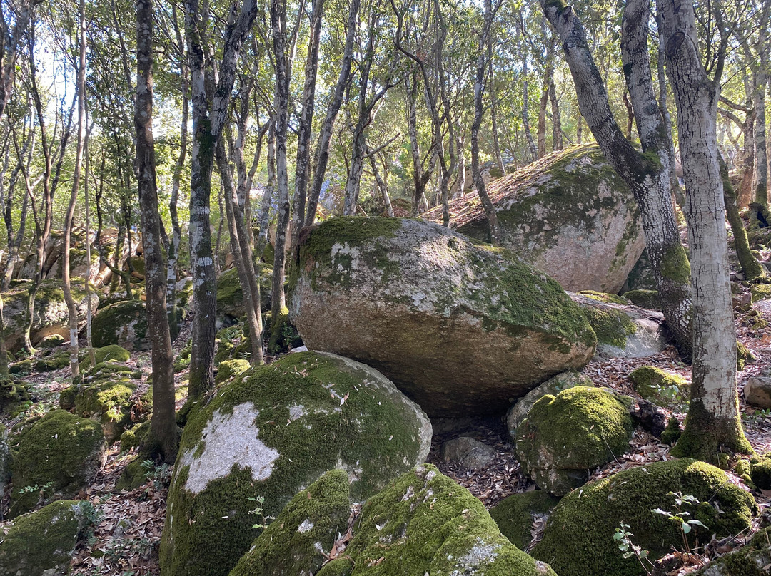 Parco Santa Degna-Aggius必去景点