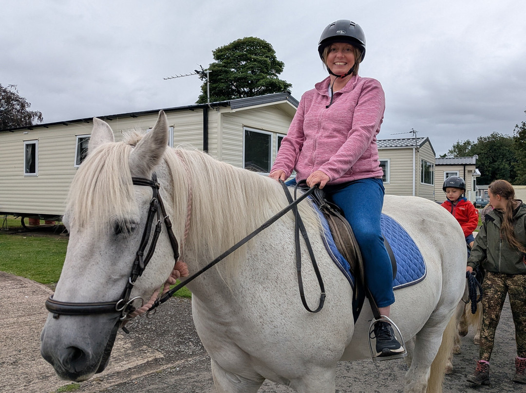 Haggerston Riding Centre-Beal必去景点