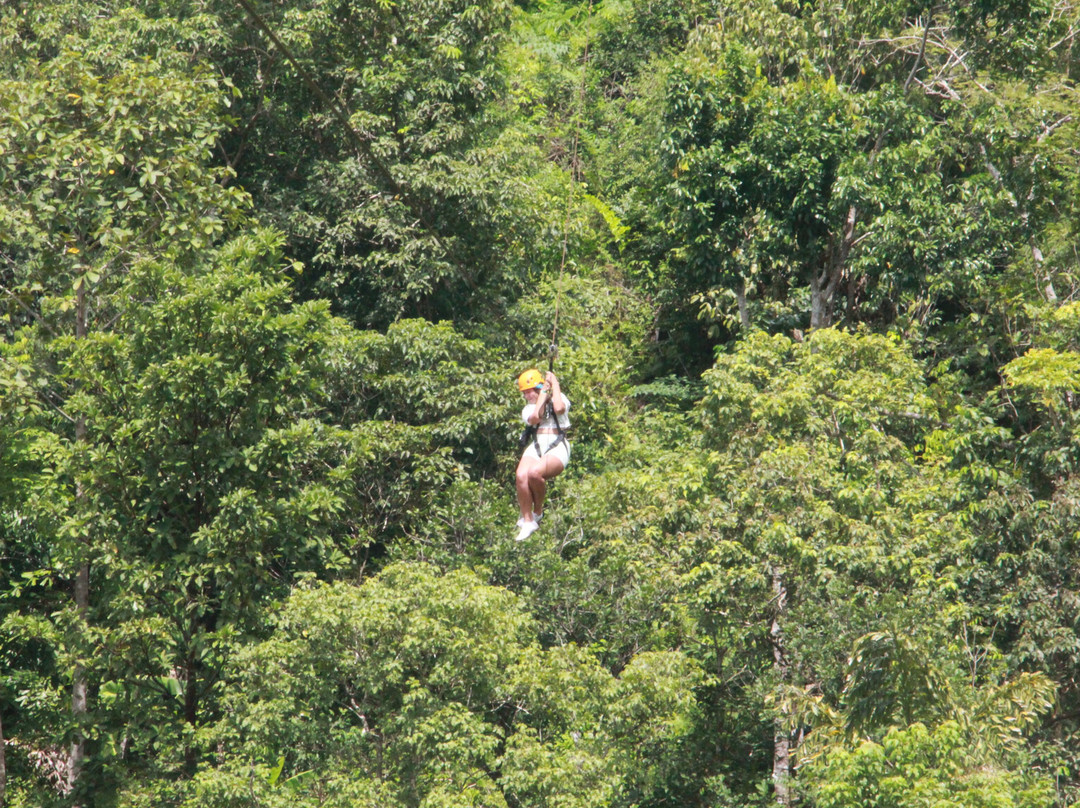 Hawk Adventure Zipline Park  Samui-红统必去景点