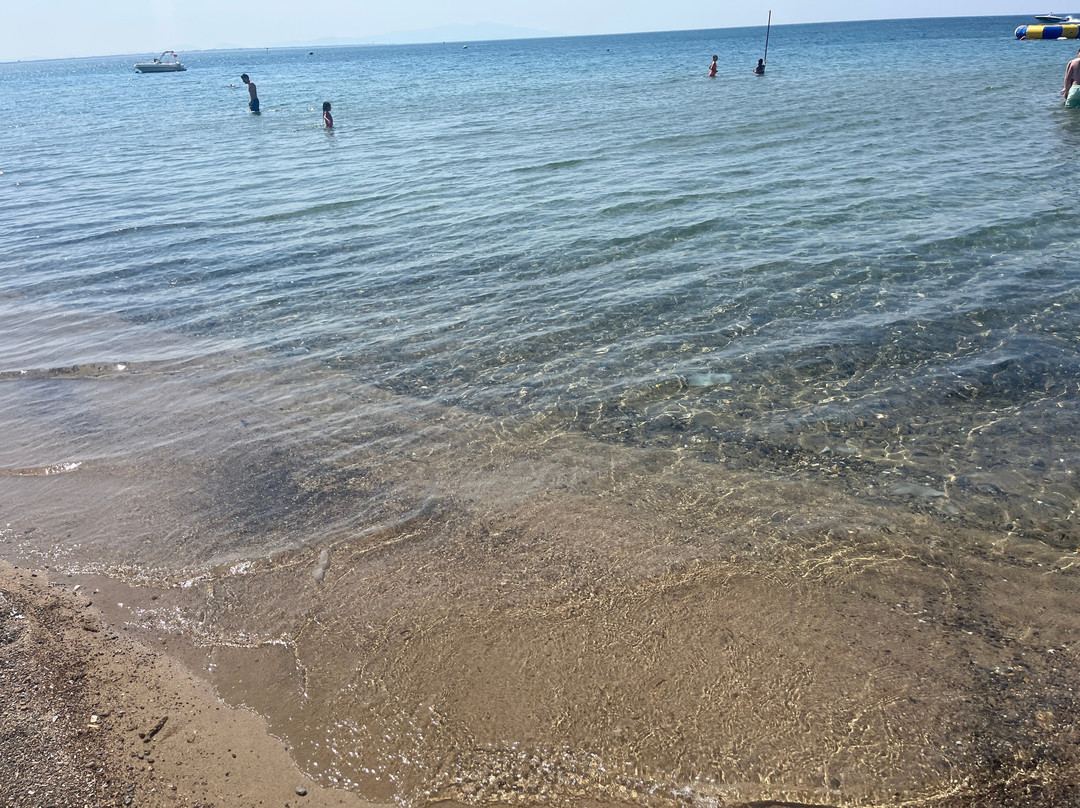 The Shelby Beach